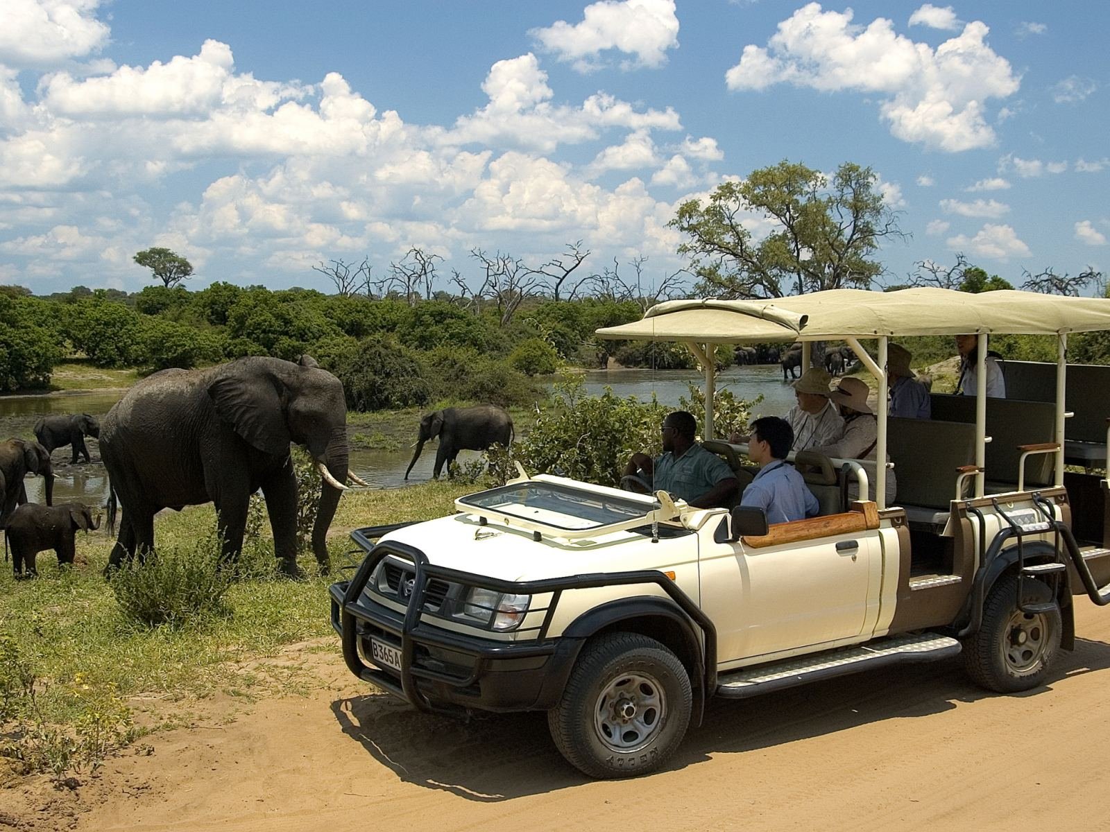 Tourists close to an elephant encounter on a Chobe day trip