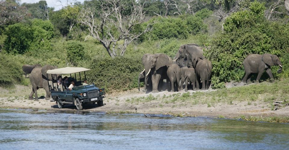 Guests on a Chobe day tour
