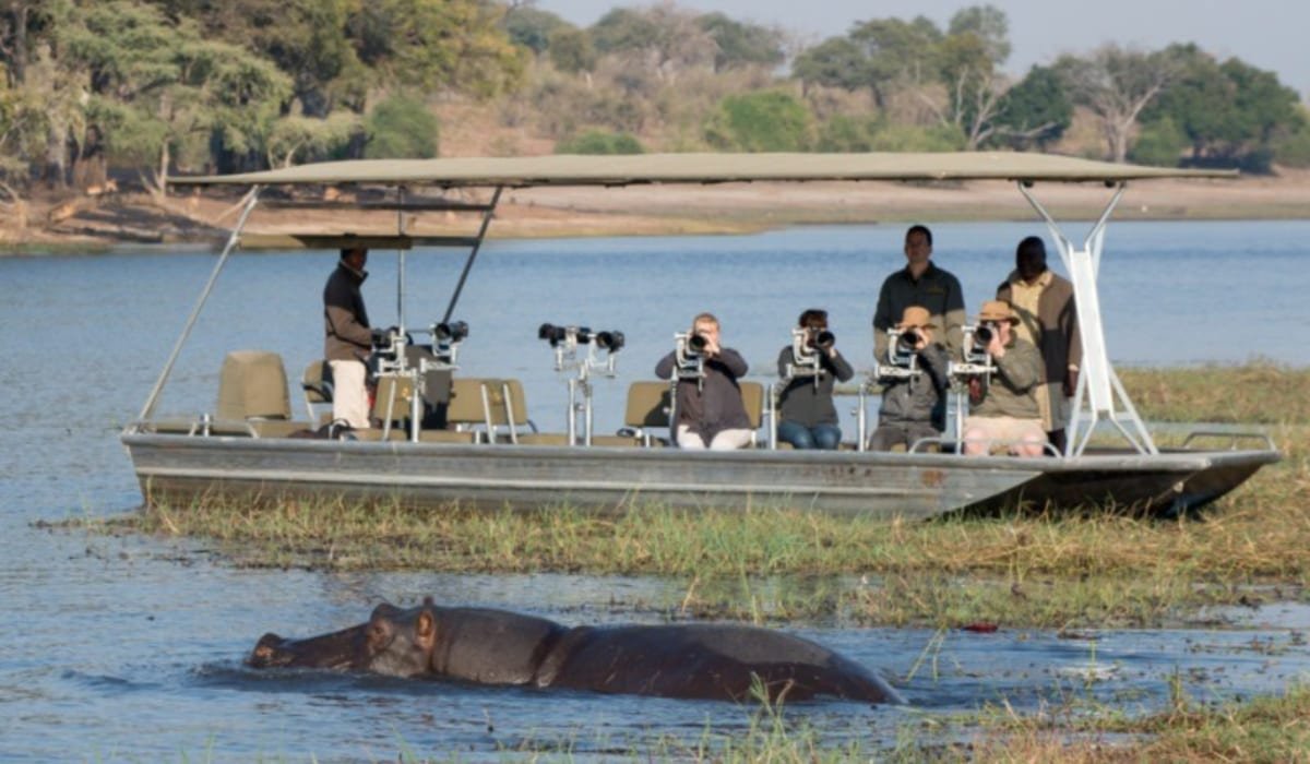 Guests photographing wildlife on a Chobe River boat safari