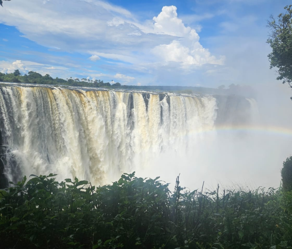 victoria falls tours